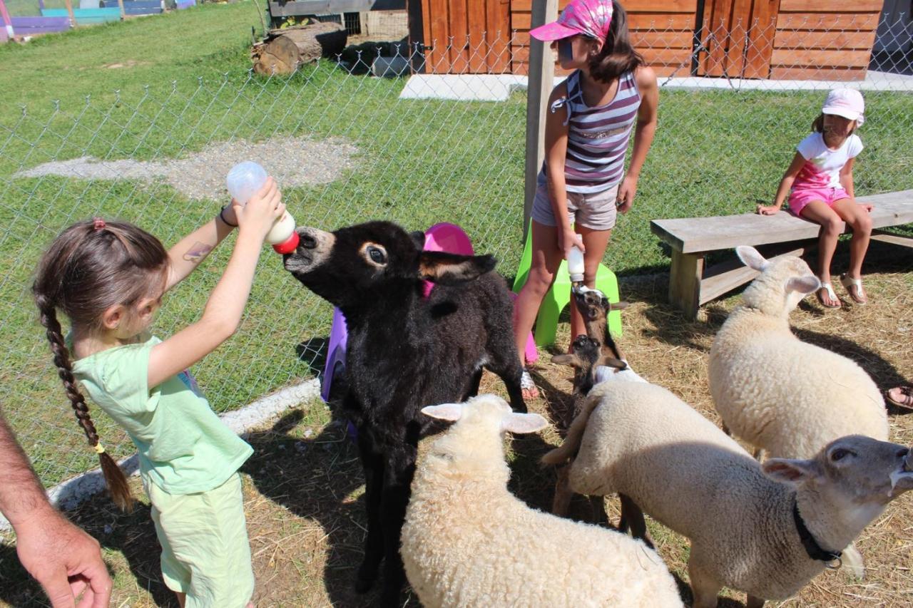La Petite Ferme De Pouillon - Parc Animalier - Aire De Loisirs Acomodação com café da manhã Exterior foto