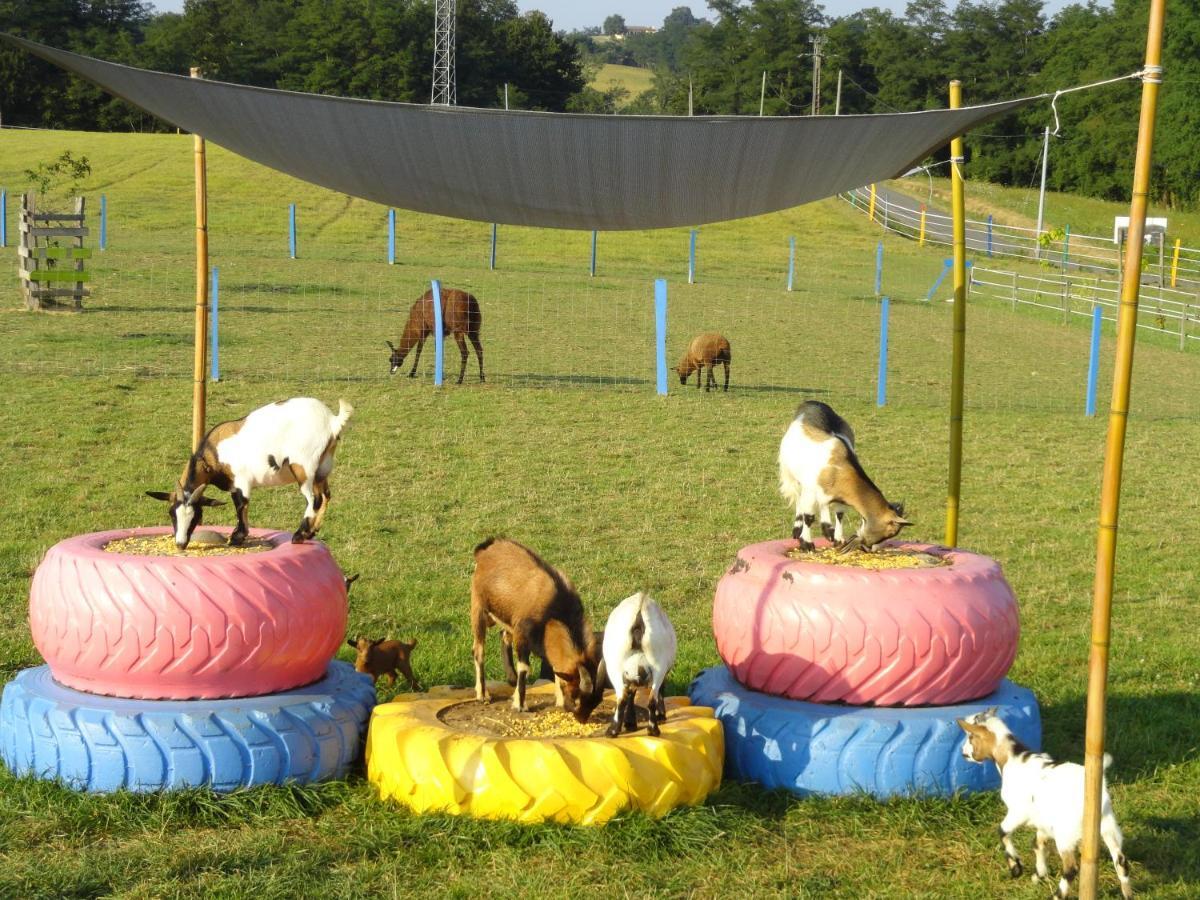 La Petite Ferme De Pouillon - Parc Animalier - Aire De Loisirs Acomodação com café da manhã Exterior foto